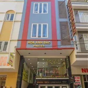 Hoa Anh Dao Da Nang